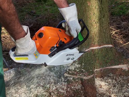 цепная пила stihl MS361